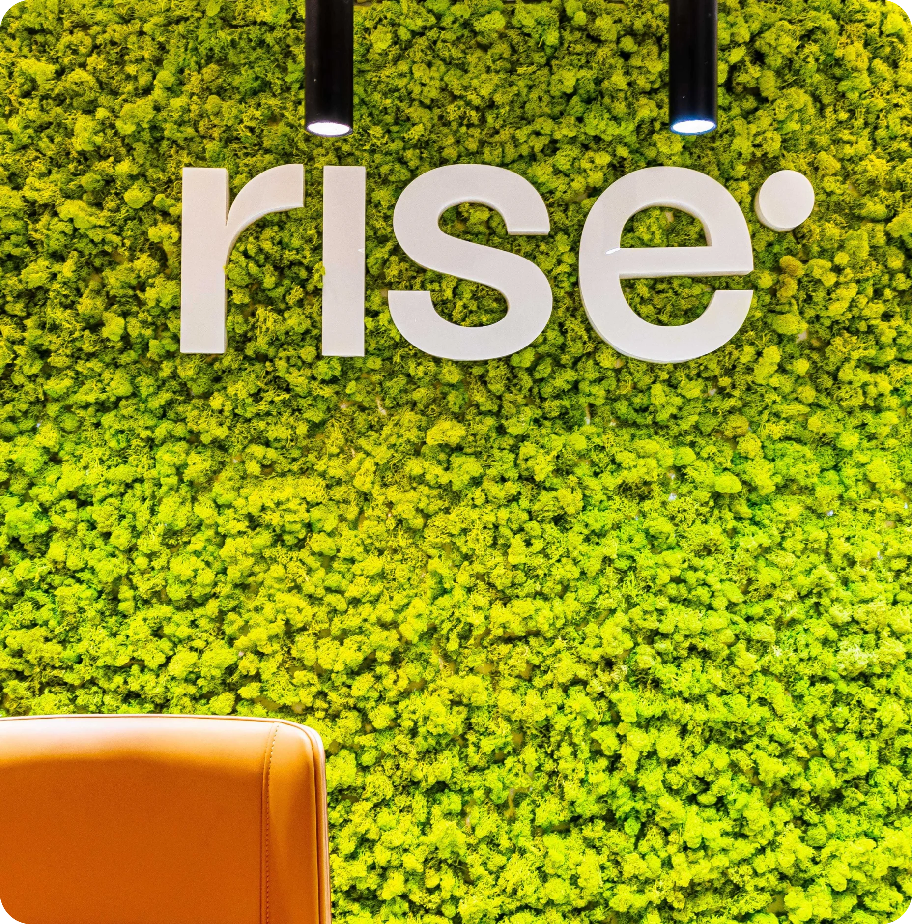 rise background